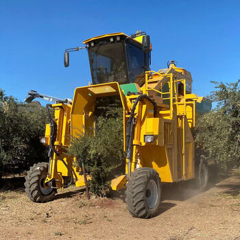 Recolteuse Mecanique Olives Recolte